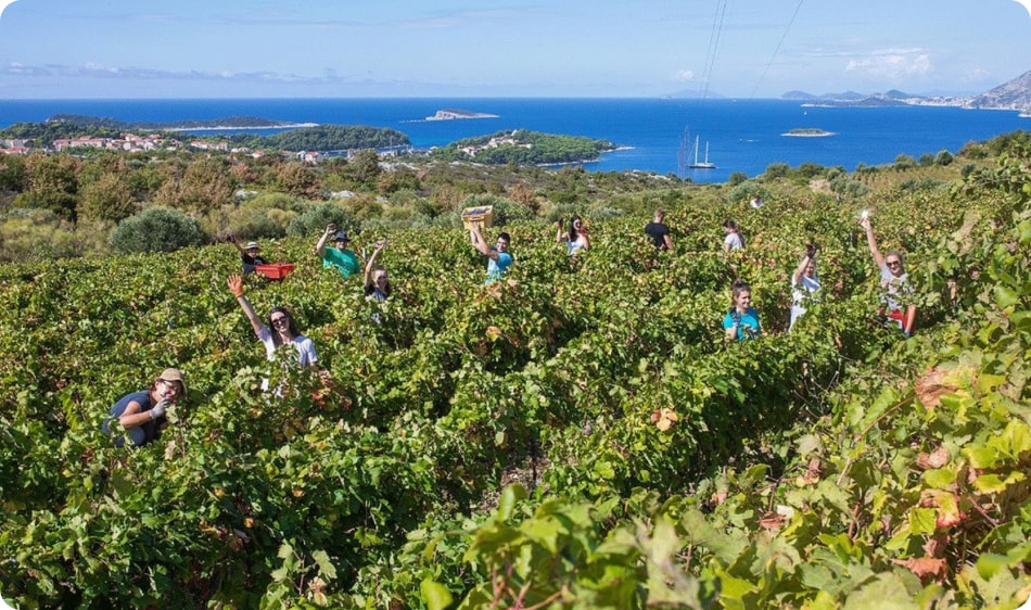 Croatia Image 6