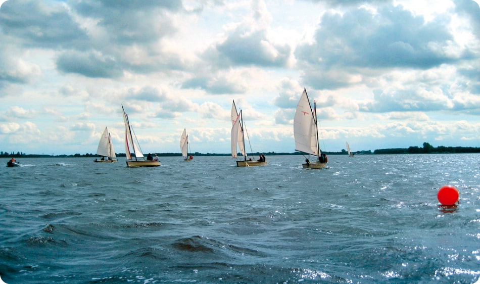 Wadden Sea Image 5
