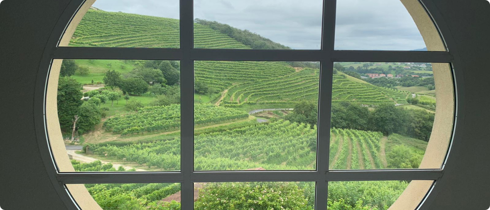 Beyond San Sebastián: Basque Coast & Wine Country